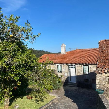 Casa Do Carqueijo Βίλα Vila Praia de Âncora Εξωτερικό φωτογραφία